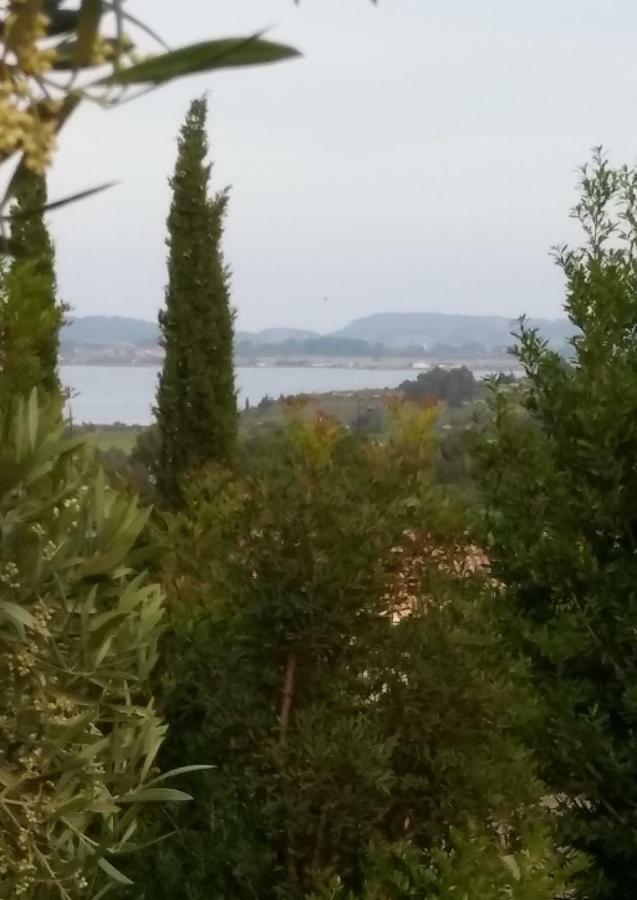 Villa Le Clos Fleuri นาร์บอนน์ ภายนอก รูปภาพ